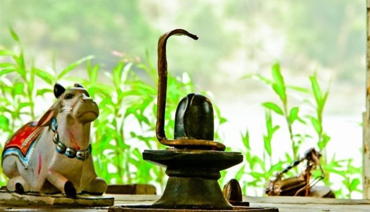 सावन के महीने में भगवान शिव की कृपा पाने के लिए घर में लाए ये 5 चीजे