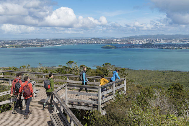 weird things to do in auckland,auckland,new zealand