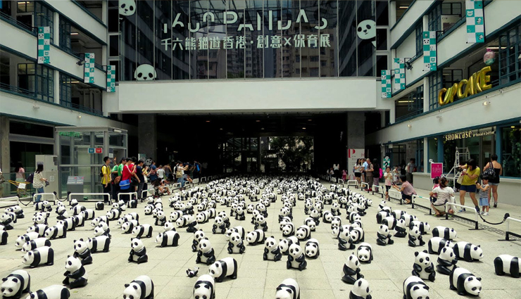 6 Amazing Things You Must Do in Hong Kong