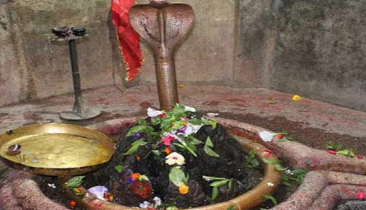 बिल्व पत्र के अलावा ये 5 चीजें भी है भगवान शिव को पसंद, चढ़ाने से होती है हर मनोकामना पूरी