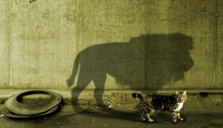 steps to think big,tips to think big,thinking tips,hard work tips,tips from successful people