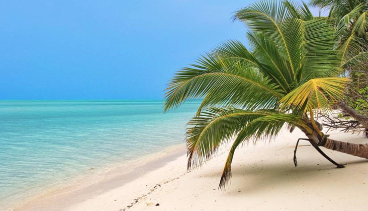 lakshadweep island advantages,unique features of lakshadweep,lakshadweep vs other islands,best island holiday destination,lakshadweep attractions,exotic islands in india,unexplored island paradises,lakshadweep travel benefits,why choose lakshadweep for holidays,island beauty of lakshadweep