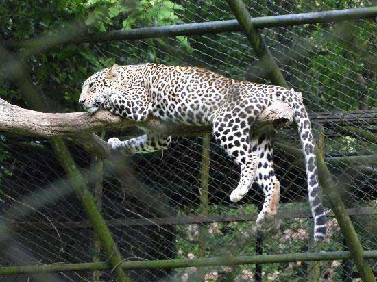 सांस्कृतिक धरोहर और खूबसूरत तटों का संगम है तिरुवनन्तपुरम thiruvananthapuram,holidays,travel,summer holidays,beautiful beaches,beaches,cultural heritage