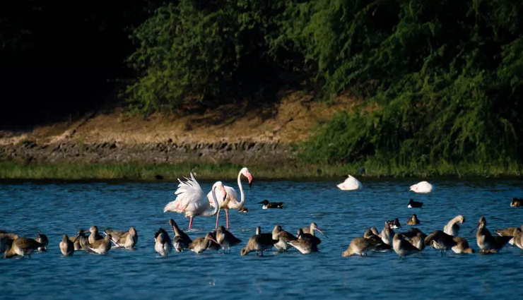 lakes in gujarat,best lakes to visit in gujarat,gujarats beautiful lakes,must-visit lakes in gujarat,scenic lakes in gujarat,gujarats top lakes for tourists,gujarats natural lakes,picturesque lakes in gujarat,gujarats hidden lakes,exploring gujarats lakes