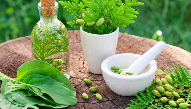 genital warts at home,treatment of genital warts at home,genital warts,genital warts,warts treatment