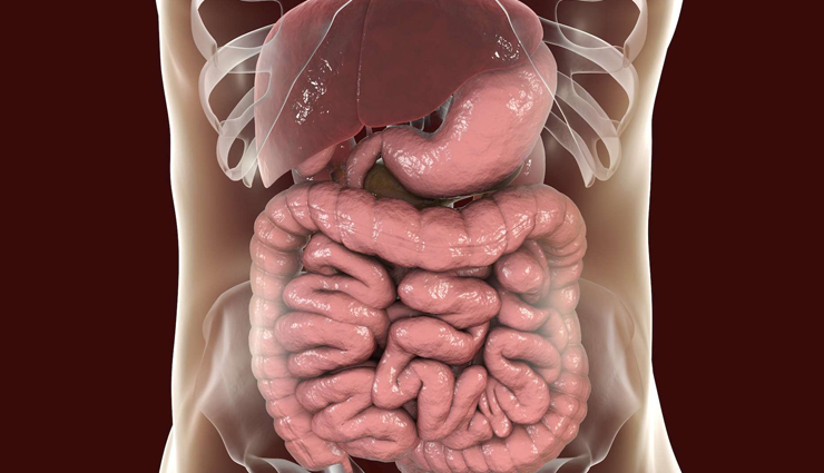 thyme,health benefits of thyme,Health tips,fitness tips