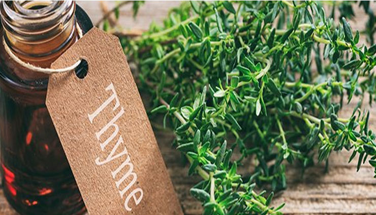 beauty benefits of thyme oil,thyme oil,beauty tips,skin care tips,hair care tips