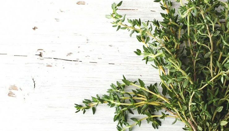 3 Amazing Beauty Benefits of Thyme Oil