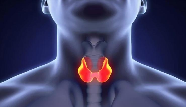 ये घरेलू उपाय बनेंगे थायरॅाइड की समस्या का इलाज, जानें और रहें स्वस्थ
