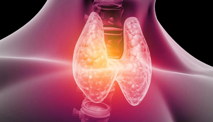 ashwagandha health benefits,least known benefits of ashwagandha,indian ginseng,adaptogenic herb,ayurveda,ashwagandha for stress,cognitive function,ashwagandha for energy,hormone balance,immune support,ashwagandha for sleep,heart health,blood sugar regulation,thyroid function,skin and hair health