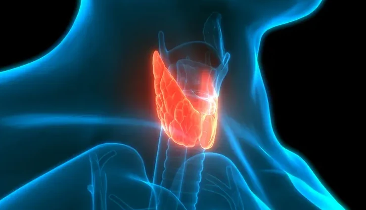 sudden weight loss causes,unexplained weight loss,rapid weight loss reasons,health warning signs,weight loss without diet,medical attention for weight loss,world health day health tips,unexpected weight loss,underlying health issues,weight changes in adults