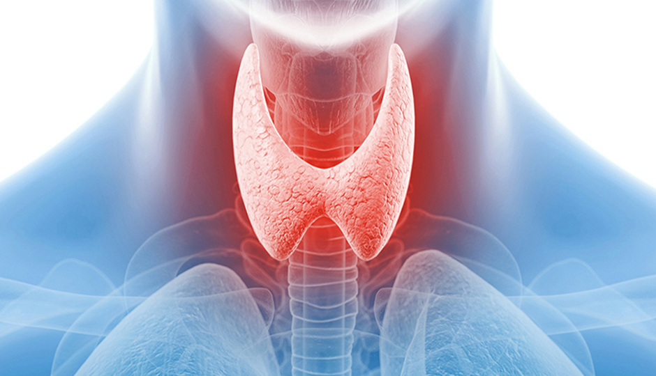 7 Habits That Help To Get Healthy Thyroid Gland