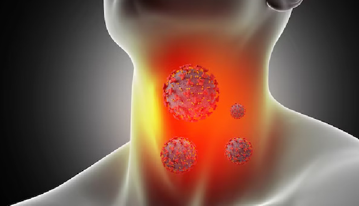 health benefits of seaweed,seaweed nutrition facts,seaweed vitamins and minerals,iodine-rich seaweed,antioxidants in seaweed,seaweed and digestive health,heart health benefits of seaweed,seaweed for weight management,anti-inflammatory seaweed compounds,seaweed and bone health,seaweed skincare benefits,seaweed anti-cancer properties