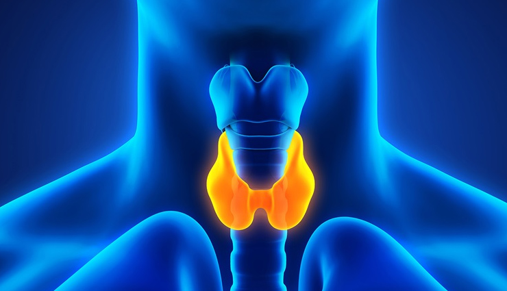 maca root benefits,maca root powder nutrition,maca root side effects,maca root health benefits,benefits of maca powder,maca root uses,maca root supplement,maca root dosage,maca root nutrition facts,is maca root safe