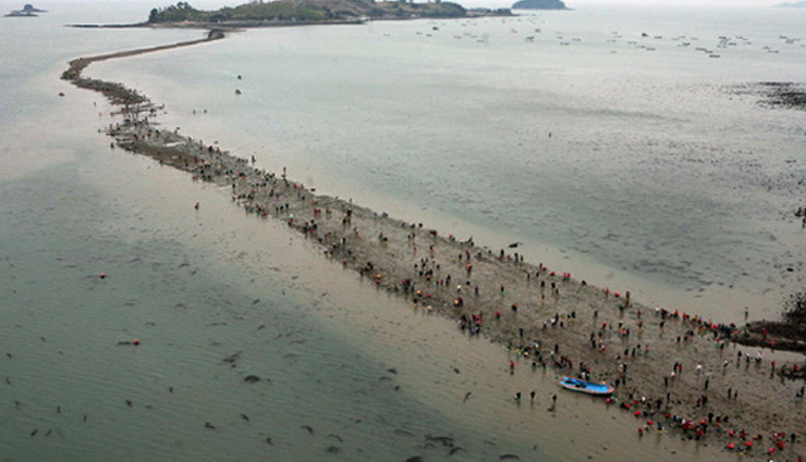 tidal islands around the world,st michaels mount,uk,modo,south korea,newquay island,uk,mont saint-michel,france,haji ali dargah,india