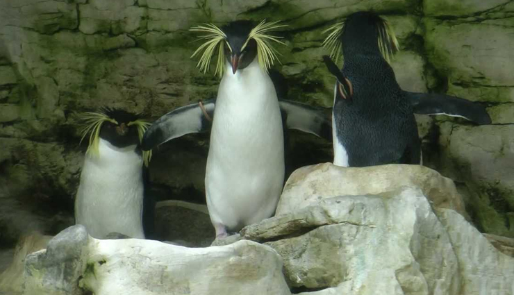 must visit zoo in the world,zoo,travel,travel guide,travel tips,holidays