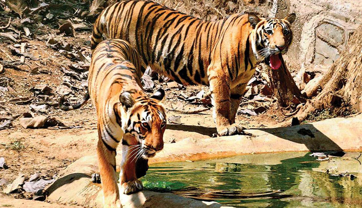 amravati in maharashtra,maharshtra,tourism,travel,holidays,amravati