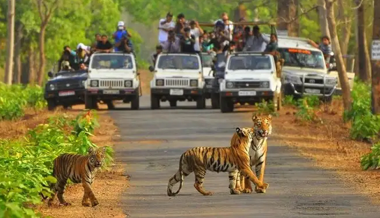 10 Most Amazing Tiger Reserves in India