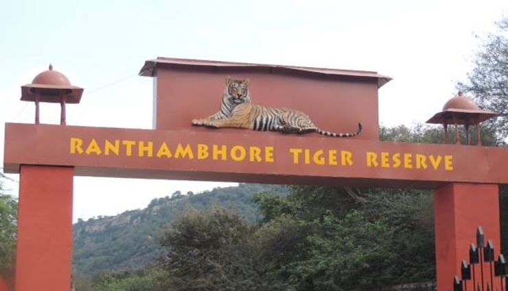 tiger reserves,tiger reserves in india,india,ranthambore tiger reserve,rajasthan,jim corbett tiger reserve,uttarakhand,bandhavgarh tiger reserve,madhya pradesh,nagarjunsagar-srisailam tiger reserve,andhra pradesh,sunderbans tiger reserve,west bengal,sariska national park,periyar tiger reserve,kerala,bandipur tiger reserve,karnataka,kanha tiger reserve,madhya pradesh,manas national park,assam