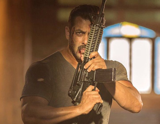 VIDEO - B.O. पर छप्पड़ फाड़ कमाई कर रही है 'टाइगर...', वही इस फिल्म से जुडी कुछ गलतियाँ सोशल मीडिया पर हो रही है वायरल