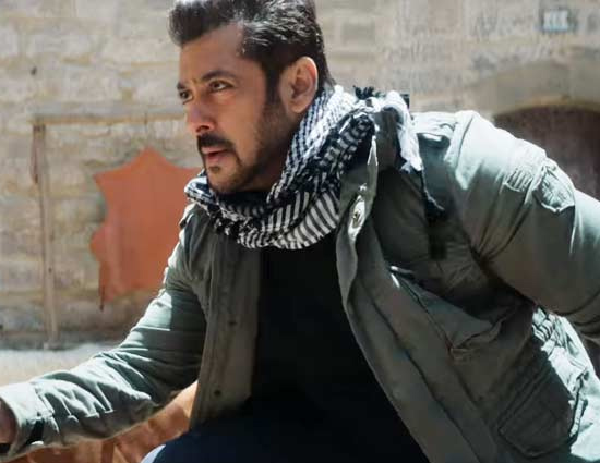 POWER-PACKED PUNCH साल के पहले दिन 'टाइगर...' की कमाई से हिला बॉक्स ऑफिस, कमाए इतने करोड़ रुपए