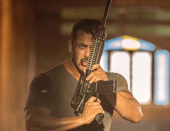 वैश्विक स्तर पर 'टाइगर जिंदा है' 500 करोड़ के पार!