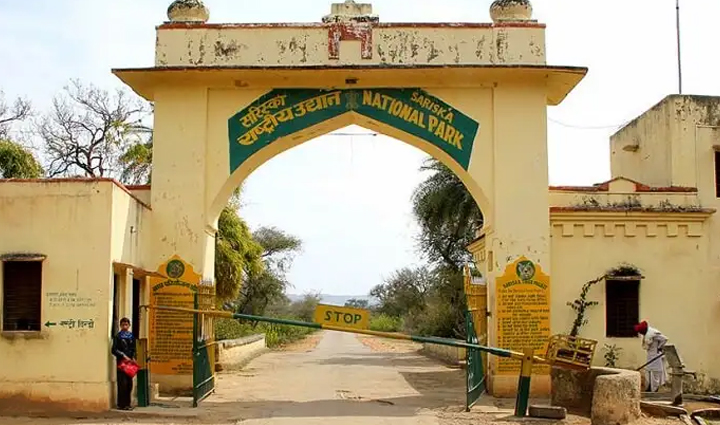 must visit tiger reserves in india,holiday,travel,tourism