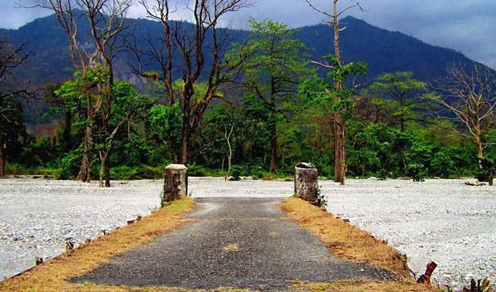 must visit tiger reserves in india,holiday,travel,tourism