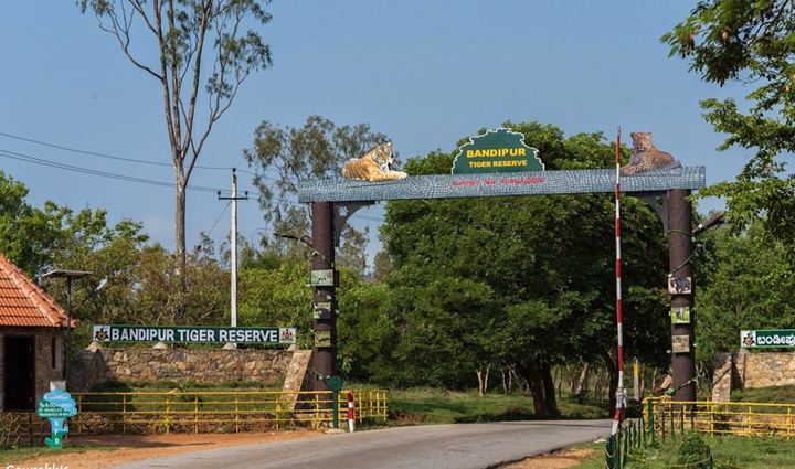 must visit tiger reserves in india,holiday,travel,tourism