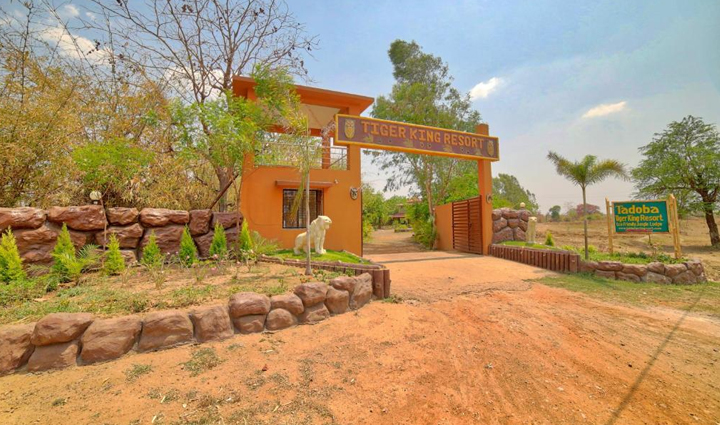 must visit tiger reserves in india,holiday,travel,tourism