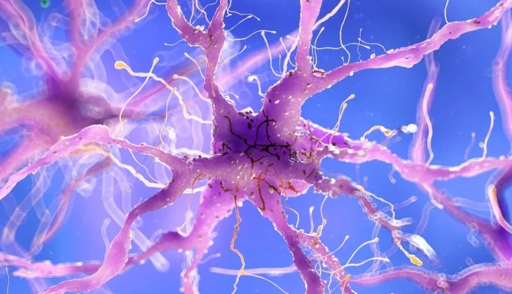 side effects of wearing tight jeans,Health tips,fitness tips