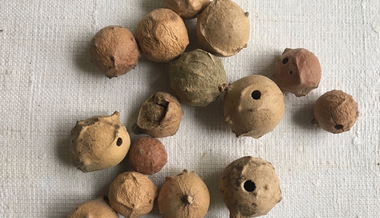 gooseberry,aloe vera,curcuma comosa,oak gall,witch hazel,black cohosh,kegel exercises,pueraria mirifica,natural ways to tighten the vagina,home remedies,remedies to tighten the vagina,Health tips,fitness tips