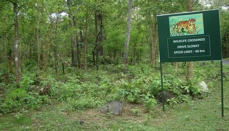 odisha,odisha wildlife sanctuaries,odisha national parks,odisha tourism,tourist places in odisha