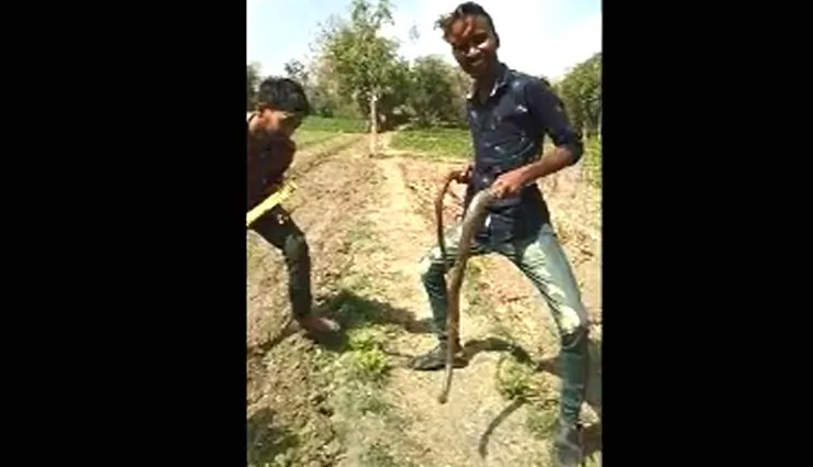 tiktok,dance with snake,snake,dance,tiktok viral video,mahisagar,gujarat,tiktok news,weird news