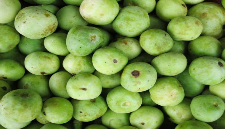 कैंसर जैसी भयानक बीमारी को आपसे दूर रखता है 'टिंडा', जाने इसके और फायदे