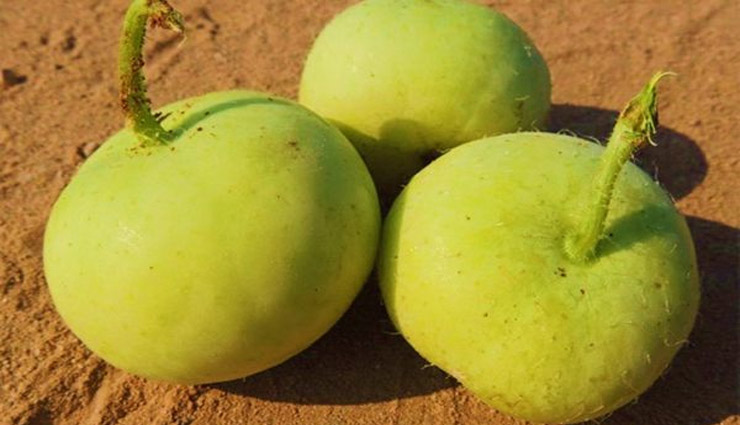 कैंसर जैसी भयानक बीमारी को आपसे दूर रखता है 'टिंडा', जाने इसके और फायदे health benefits,benefits of tinda,tinda,Health,Health tips