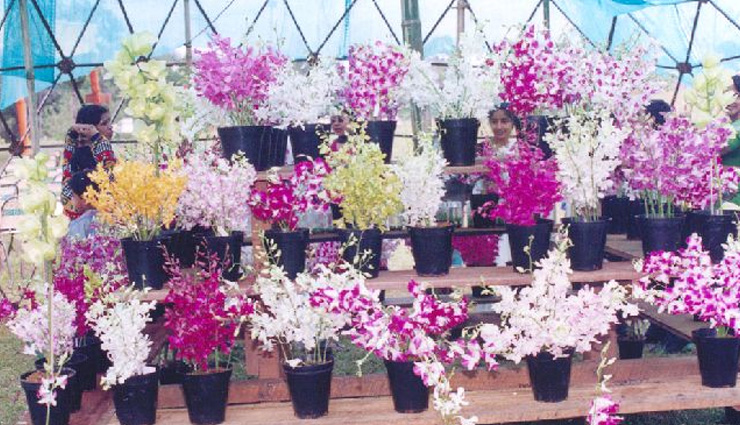 arunachal pradesh,ziro vallery,tourist destination ziro vallery,arunachal pradesh tourism,holidays in ziro valley