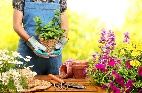 अपने घर के गार्डन को दे अलग लुक इन तरीकों को अपनाकर gardening tips,household,maintaining garden