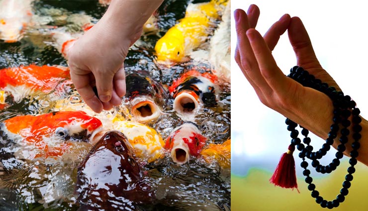 astrology tricks,astrology,astrology tips