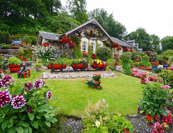 5 Tips to Keep Your Garden Healthy in Winters