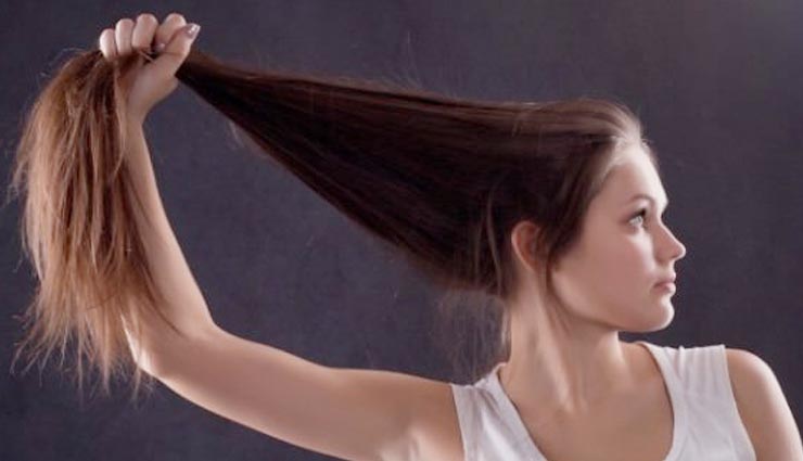 women,women nature,hair,astrology tips,astro tips,astro ,बालों से जाने महिला के स्वभाव के बारे में