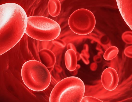शरीर में तेजी से खून बढ़ाने के 5 आसान उपाय