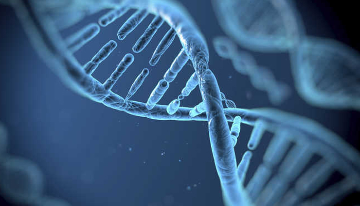 paneer benefits,health benefits of paneer,eating paneer for health,paneer and its advantages,why paneer is good for you,nutritional benefits of paneer,paneer for a healthy diet,benefits of consuming paneer,paneer and its positive effects on health,incorporating paneer into a healthy lifestyle