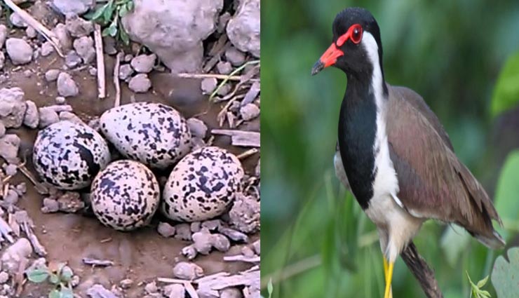 अन्धविश्वास के चलते गांव वाले कर बैठे यह गलती, बच्ची को भुगतनी पड़ी सजा