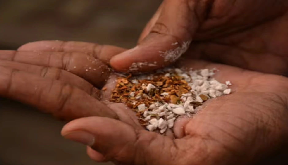 सरकार गुटखा–पान मसाला उद्योग पर कसने जा रही है शिकंजा, शीतकालीन सत्र में पेश होगा नया हेल्थ–सिक्योरिटी सेस बिल