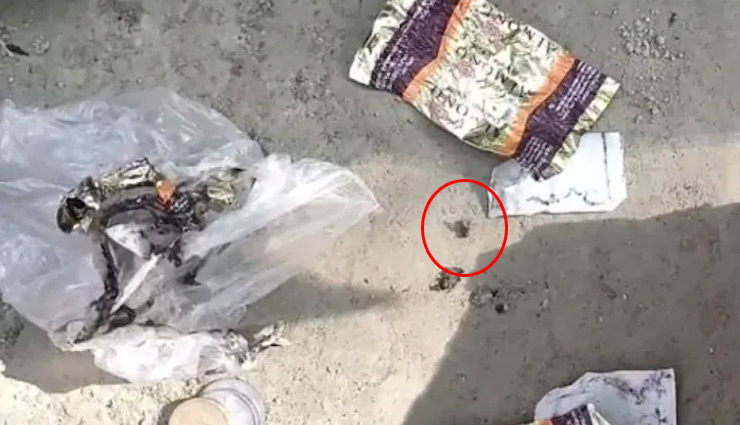 'टॉफी पर मंडरा रहीं मक्खियां भी मरी', 4 बच्चों की मौत में खोजी कुत्तों की मदद से पुलिस ने तीन लोगों को लिया हिरासत में 