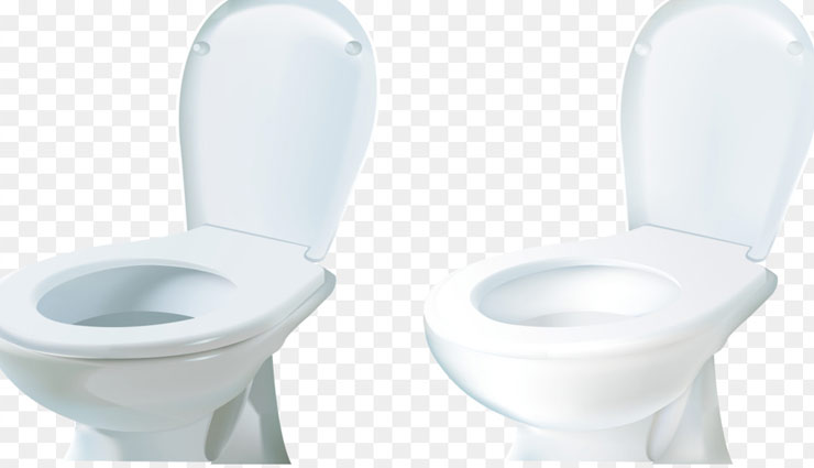 toilet clean tips,toilet mess,toilet polished tips ,टॉयलेट की गन्दगी, टॉयलेट की साफ-सफाई, चमकदार टॉयलेट, बाथरूम की सफाई 