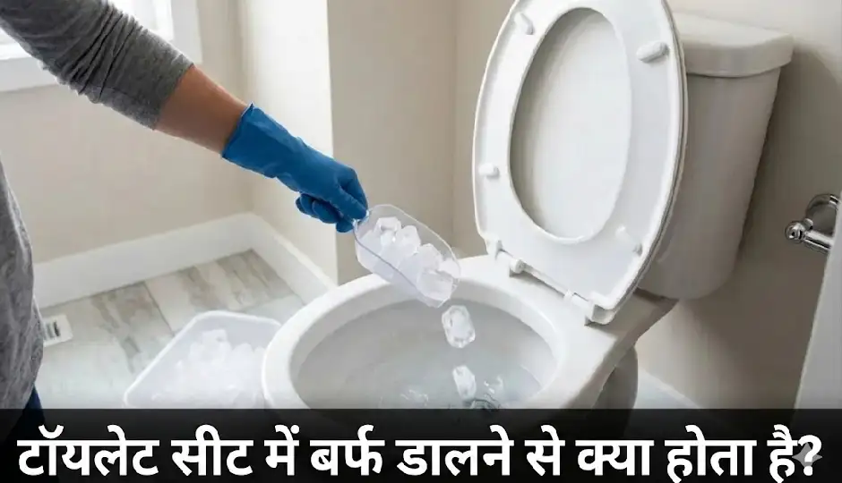 टॉयलेट सीट में बर्फ डालने से क्या होता है? सफाई की यह आसान ट्रिक कर देगी हैरान