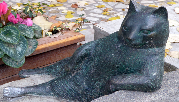 10 offbeat things you can do in istanbul,istanbul travel,tourist places in istanbul,holidays,travel guide