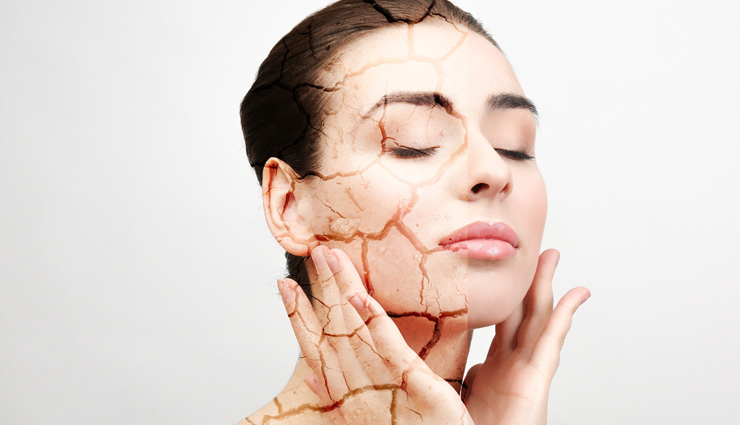 tomato face packs,diy tomato face packs,skin care tips,beauty tips,homemade tomato face packs